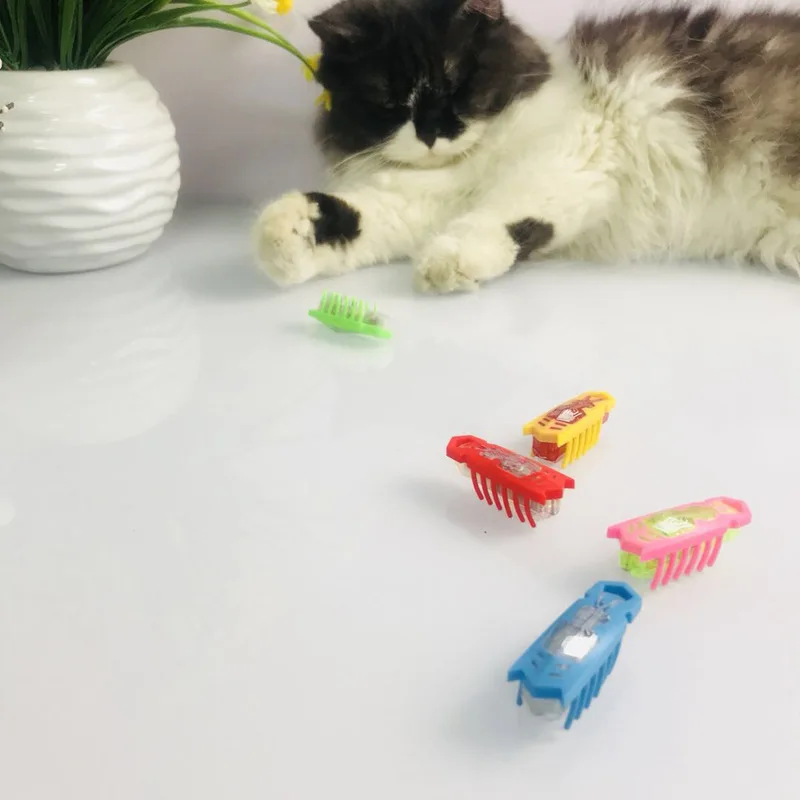 Забавные игрушки для животных Кот Сумасшедший диск с шариком Интерактивная развлекательная тарелка игровой диск триляминар поворотный стол кошка игрушечная тарелка поворотный стол поставки