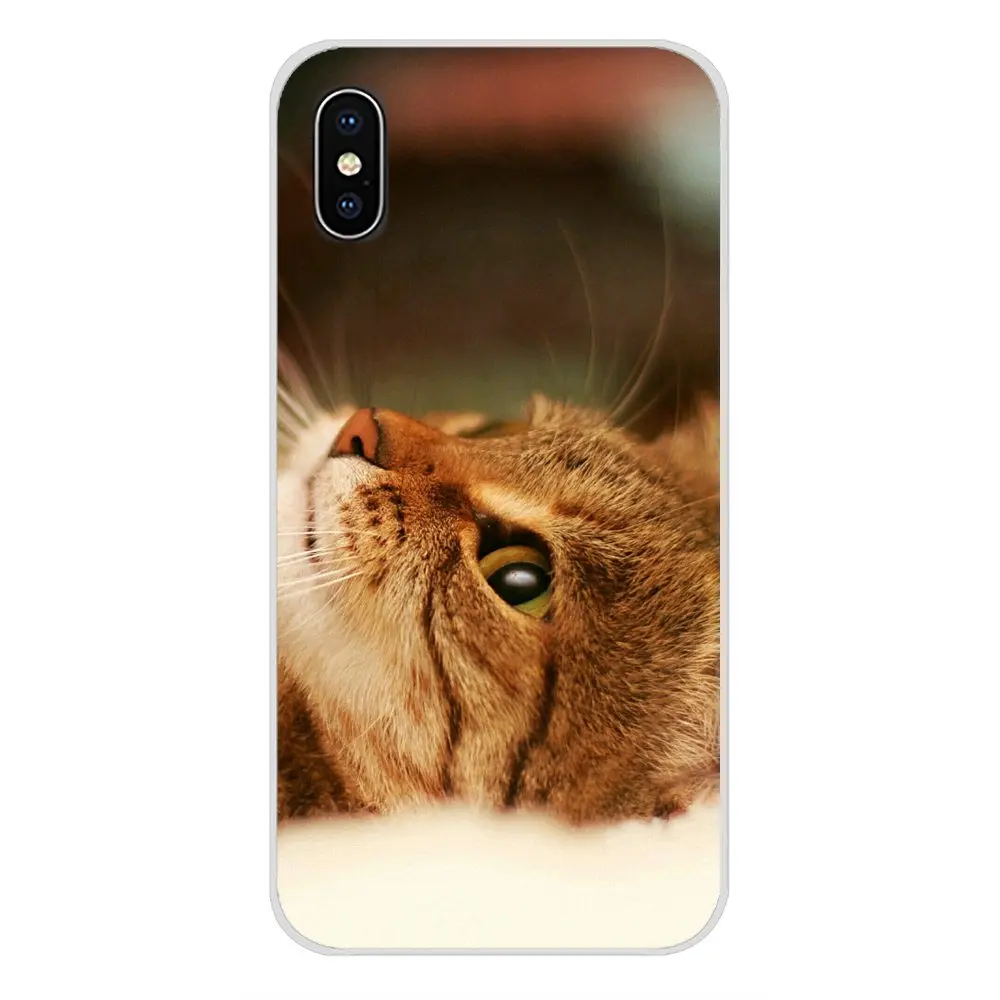 Для HTC One U11 U12 X9 M7 M8 A9 M9 M10 E9 Plus Desire 630 530 626 628 816 820 830 meow милый кот прозрачный чехол из