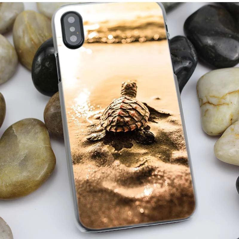 Черепаха черепаха чехол для iPhone 11 Pro XS Max XR X или 10 6 6s 7 8 Plus 5S SE 2020 жесткий