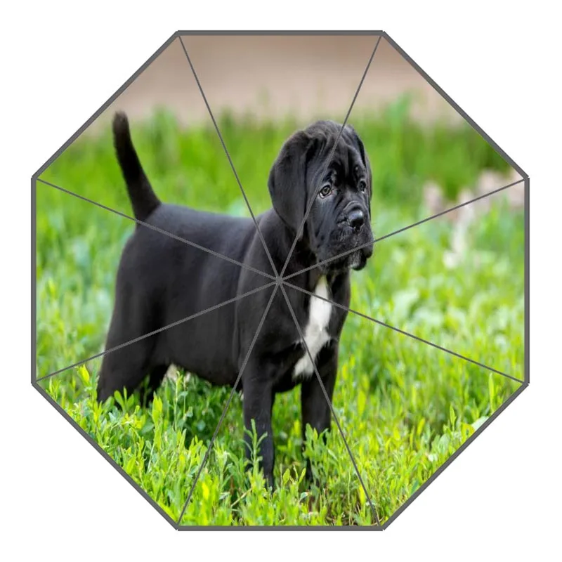 18 Custom Cane Corso Dog Umbrellas Polyester Fabric High Quality Sunny And Rainy Umbrella Non-Automatic Umbrella For Adults - Цвет: 18