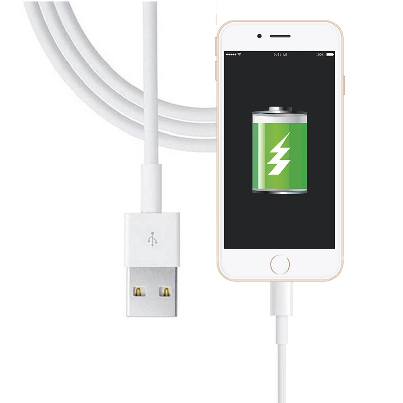 1 м 8 контактный usb кабель для iPhone X 7 6 6S SE 5 5S iPad синхронизации данных и