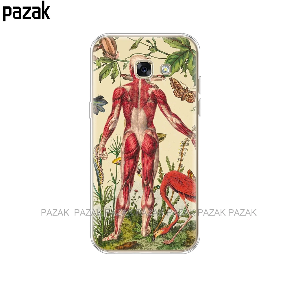34532 Силиконовый чехол для телефона Samsung A5, чехлы для Samsung Galaxy A5, SM-A520F, чехол das для Samsung Galaxy A5, pop shell - Цвет: 34532