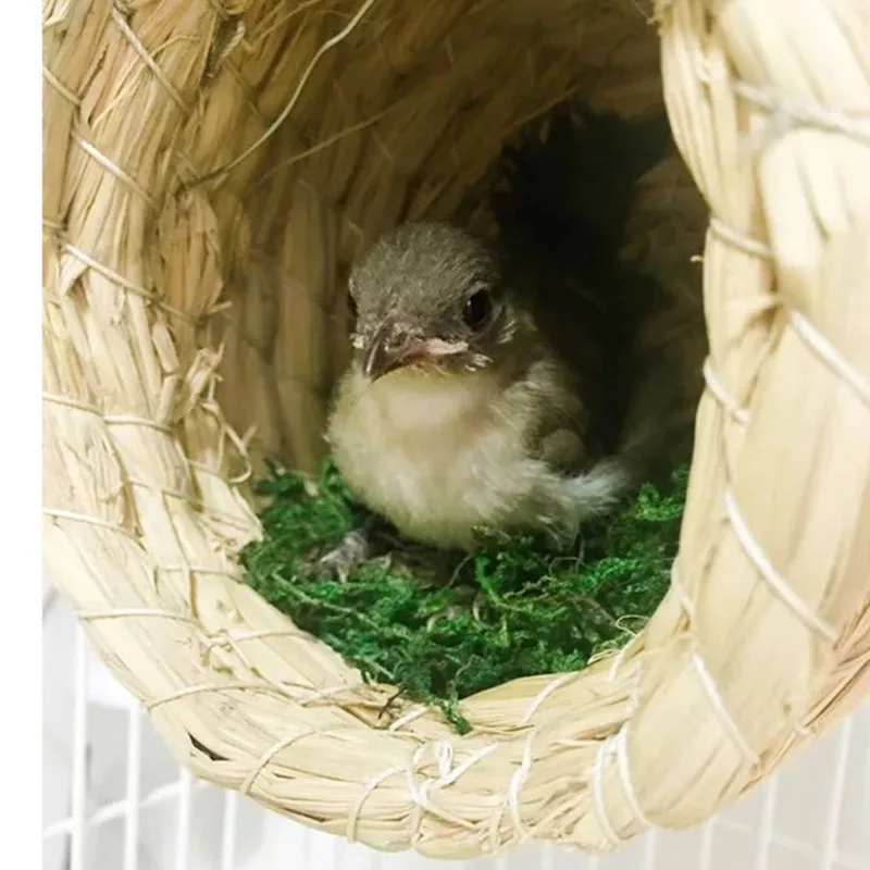 Натуральное соломенное Птичье гнездо для попугая Кровать Дом Ферма небольшого