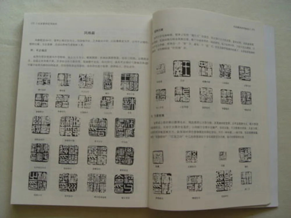 Известная китайская книга для резьбы практические техники фотоальбом |