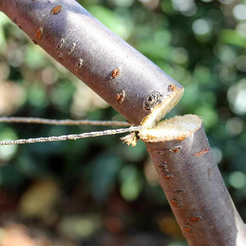 1X полевая ручная цепная пила из нержавеющей проволоки для выживания на открытом
