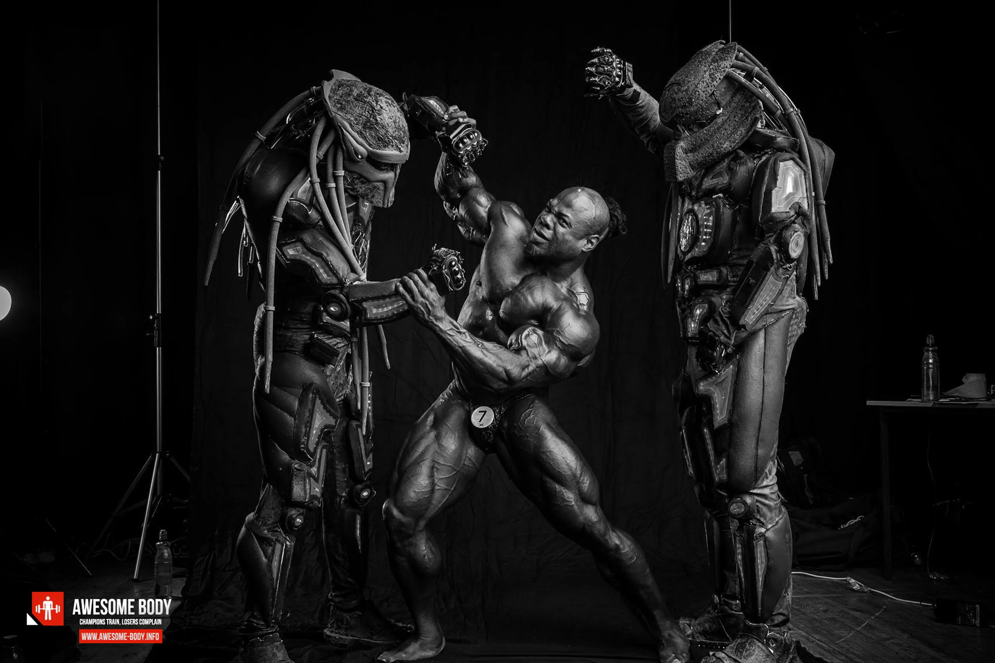 Украшение для дома Kai Greene постер из шелковой ткани принт плаката YR243 | Дом и сад