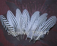 100pcslot 10 15cm natural silver wing pheasant feathersfeather headdresstop with feathersfeathers natural