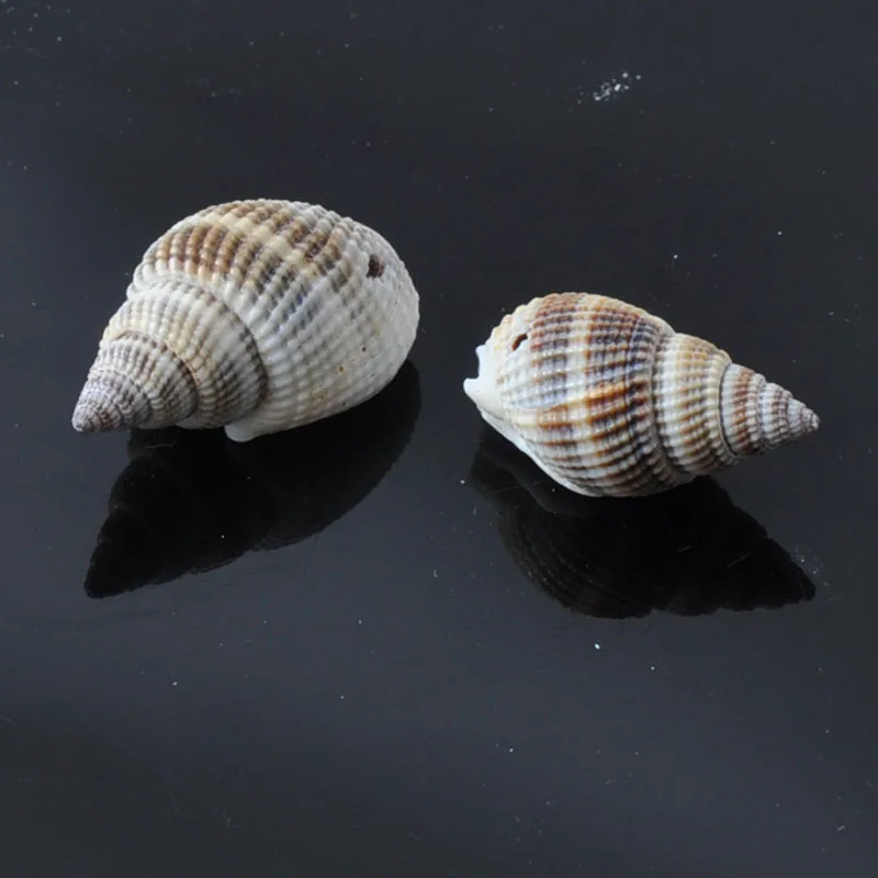 40 шт. спиральные аксессуары для украшения дома 20-30 мм | Дом и сад