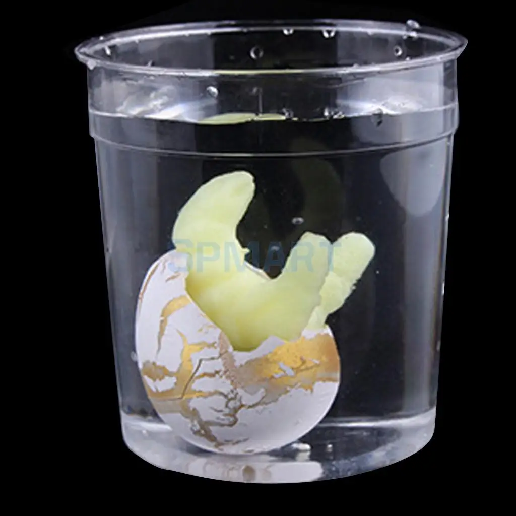 3 шт. красочные забавные Волшебные Яйца динозавра инкубация Домашние животные