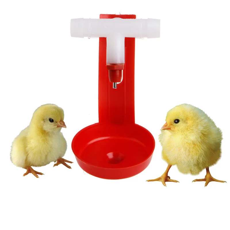 Автоматическая поилка птицы пластиковая подвесная птица ферма|poultry farming|chicken