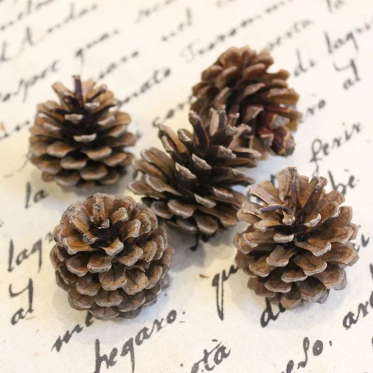 Оптовая продажа 6 шт./лот разноцветная Рождественская елка украшение Pinecone