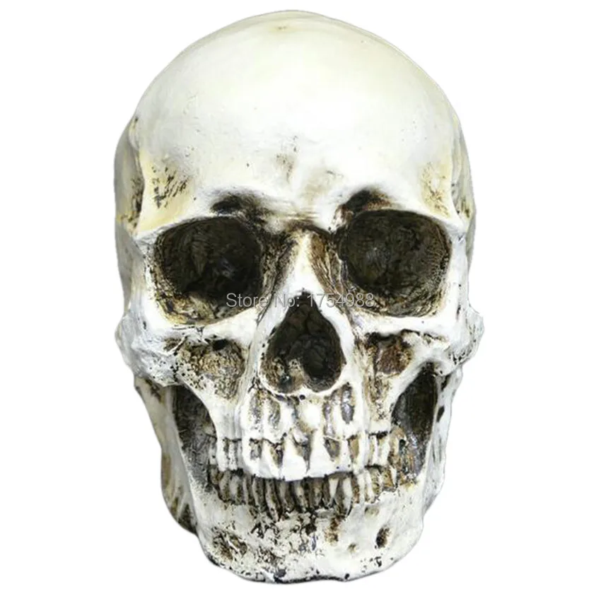 Реквизит для Хэллоуина с изображением головы черепа из смолы Реплика комнаты