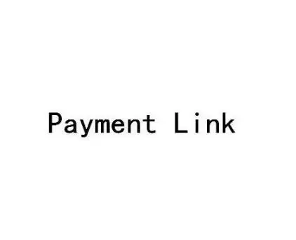 

Customize Shoes Payment Link