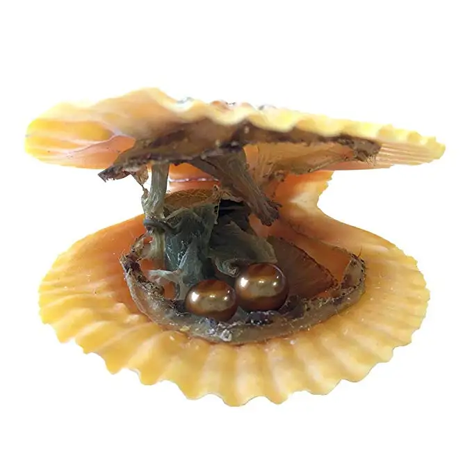 HENGSHENG 20 штук красные Oysters with Twins почти круглые жемчужины внутри Akoya жемчужные для