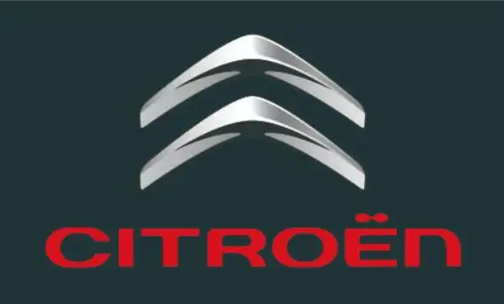 

Car flag flag custom car CITROEN banner 3x5ft 100% Polyester free 02