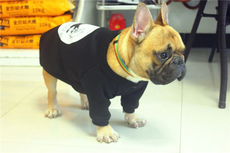 Свитер с бульдогом одежда для собак свитшот щенков домашних животных на весну и