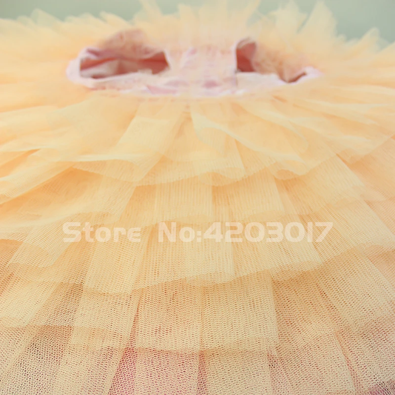 Adult Women Pink Professional Ballet Tutus Gold Embroidery Ballerina Puff Skirt Girls Dance Wear Costumes B1253 | Тематическая