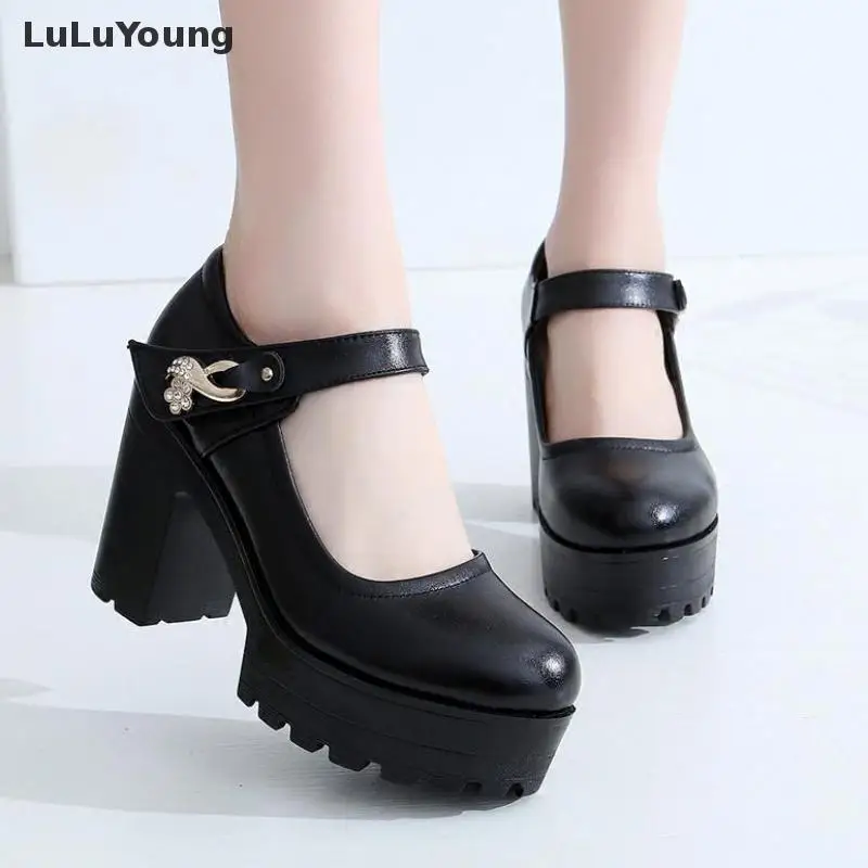 Женская обувь из натуральной кожи на толстой подошве высоком каблуке женские