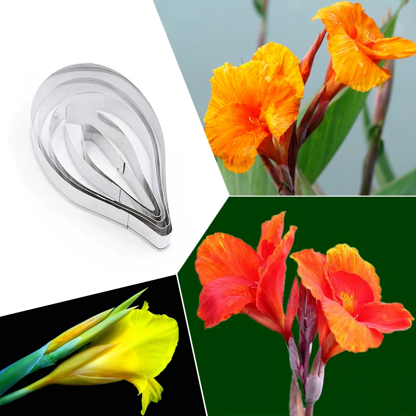 

Оптовая продажа 10 комплектов (5 шт./компл.) Cannas набор резцов из нержавеющей стали, инструменты для украшения торта