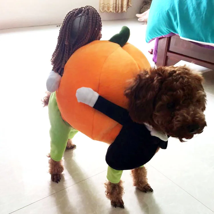 Забавные костюмы для собак Поднимите тыкву забавная одежда домашних животных
