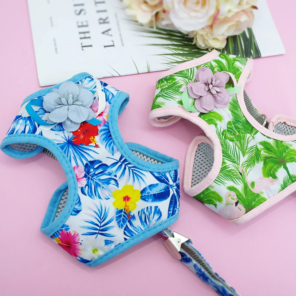 Милый комплект для поводка и шлейки для кошек, с принтом, с сеткой, для питомцев, щенков, котят, жгут, жилет для прогулок, нагрудный ремень, пояс для поводка для маленьких собак, кошек