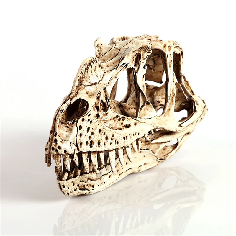 

Horns dinosaur skull resin skull and head creative home furnishing ornaments personal ornaments KLGT017