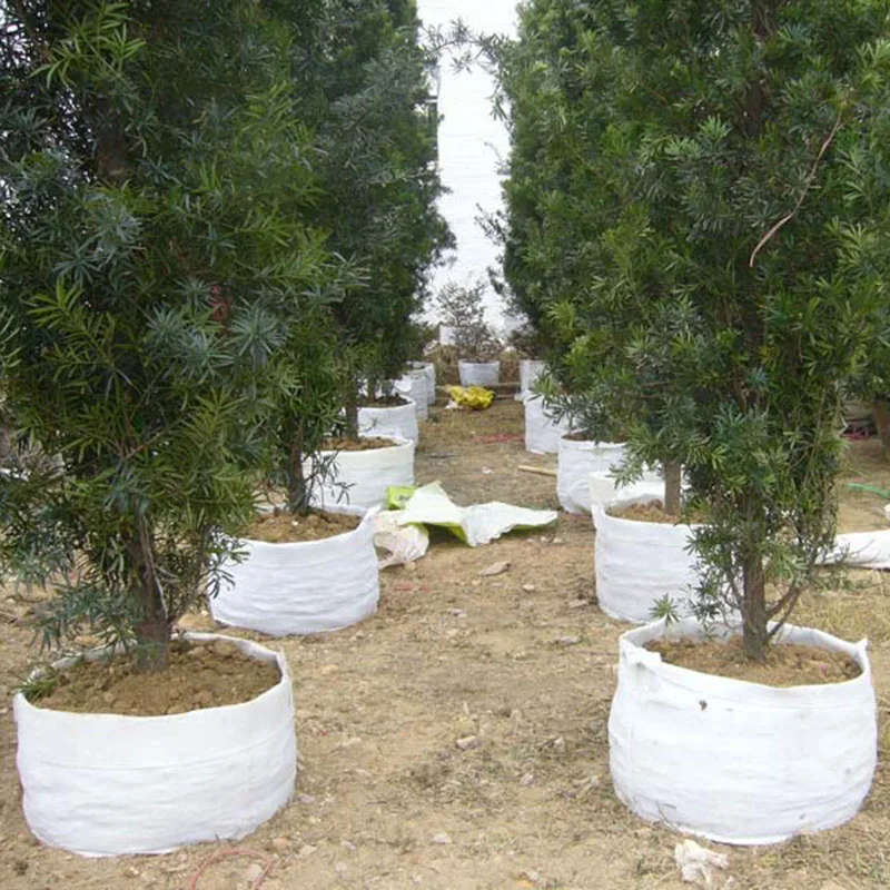 3 размера круглые тканевые горшки для растений корень контейнер выращивания