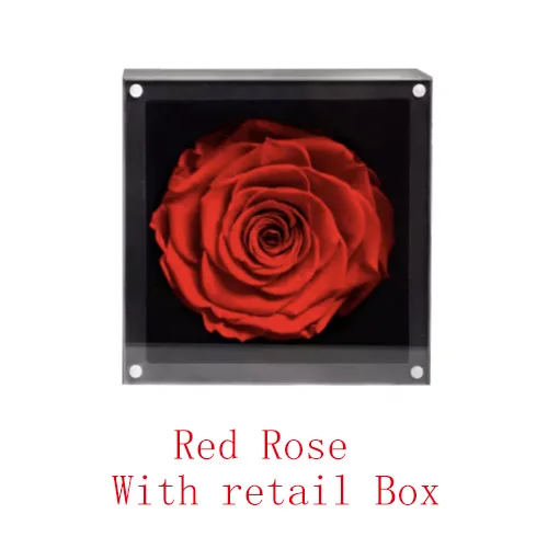 Red Xiaomi Mijia The ONE настоящий цветок розы навсегда для любви рождественские подарки - Цвет: Red