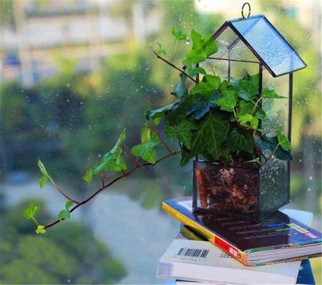 Подвесные стеклянные домашние контейнеры цветочный горшок для растений теплицы