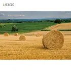 Laeacco фоны для фотосъемки с сенными тюками стек сельское хозяйство Урожай сезон сельская ферма Живописные фоны для фотостудии