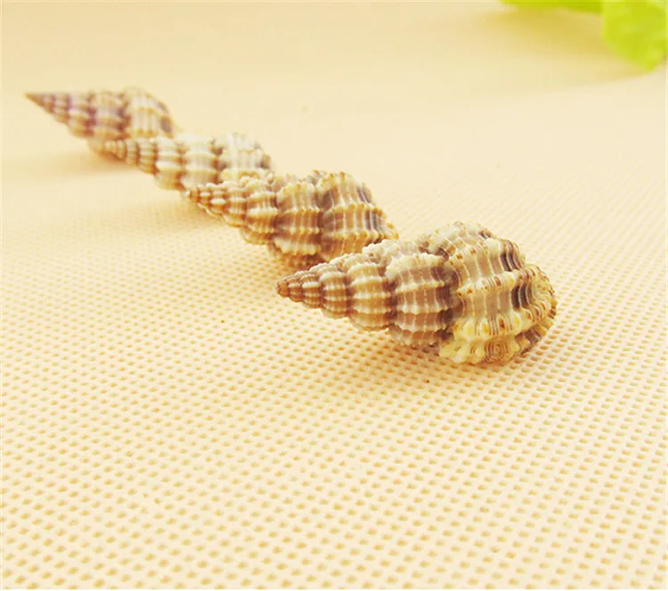

20pcs Ma Lo conch Home Wedding Decoration Natural Crafts Fish Aquarium Landscaping Material