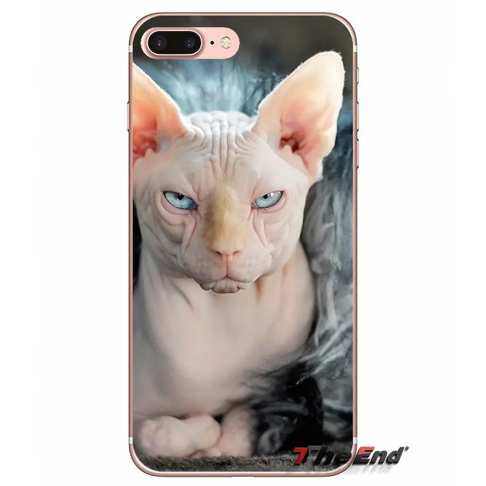 Аксессуары чехлы для телефонов Xiaomi Mi6 Mi 6 A1 Max Mix 2 5X 6X Redmi Note 5 5A 4X 4A A4 4 3 Plus Pro sphynx cat |