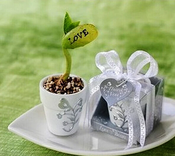50 шт. надпись Love Magic Bean или I U|love magic beans|love magiclove love |