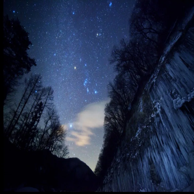 Фотообои фантастический альпийский Лес Ночь Небесный ззлетный потолок гостиная