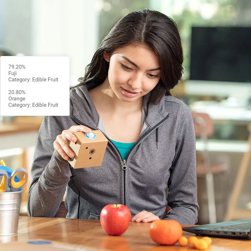 1 шт. x Google AIY Vision Kit Do it yourself Интеллектуальное распознавание изображений