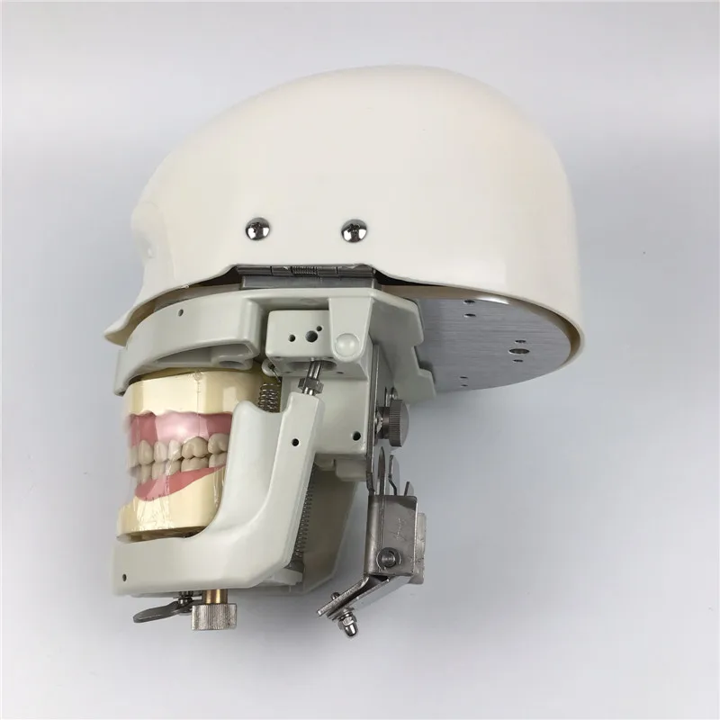 NISSIN Dental manikins фантомная головка модели для стоматологического образования