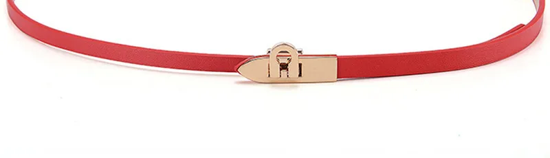 AKTRIS Женская мода из натуральной кожи тонкий ремень женский стиль Яркая юбка, Вид Спереди декоративный ремень для женщин 0,8 см FCO148
