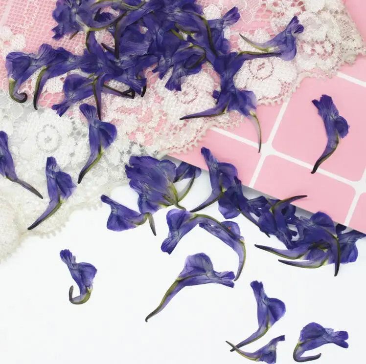 

60pcs Side Pressed Dried Purple Consolida Ajacis Flower Plant Herbarium For Jewelry Postcard Invitation Card Phone Case DIY