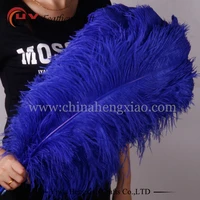 wholesale hard rod 10pcslot natural royal blue ostrich feathers 15 75cm 6 30 wedding christmas decorations diy feather