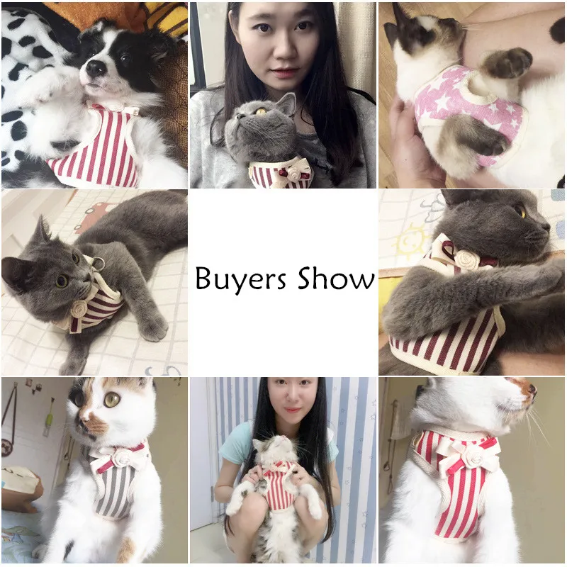 Hoopet дышащий Кот прогулки шлейка и поводок стильная куртка + комплект милый бант