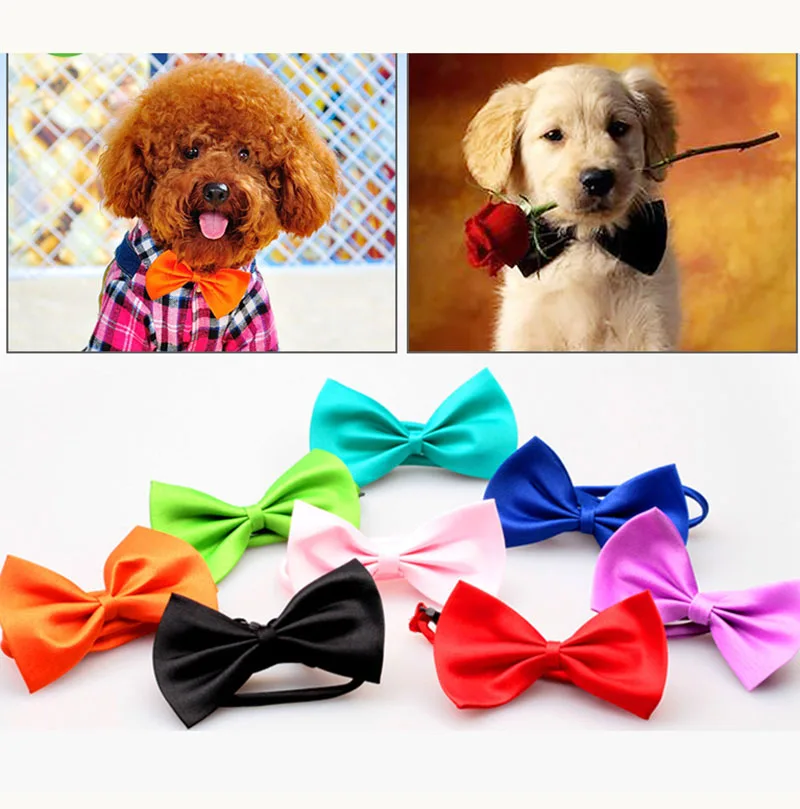 50 шт./лот крутой галстук бабочка для собак и кошек щенков ожерелье бабочки