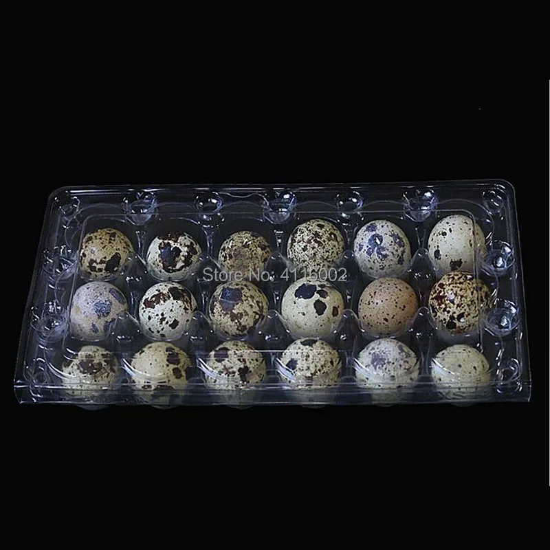 

500pcs 18 Holes 198*41*102cm Quail Eggs Container Plastic Clear Egg Packing Storage Boxes