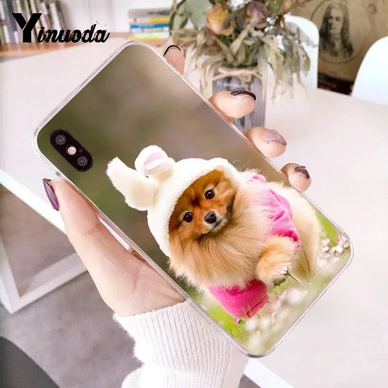 4 Yinuoda Pomeranian dogs Красочный милый чехол для телефона для iPhone 8 7 6 6S Plus X 10 5 5S SE XR XS XSMAX11 11pro 11promax - Цвет: 4