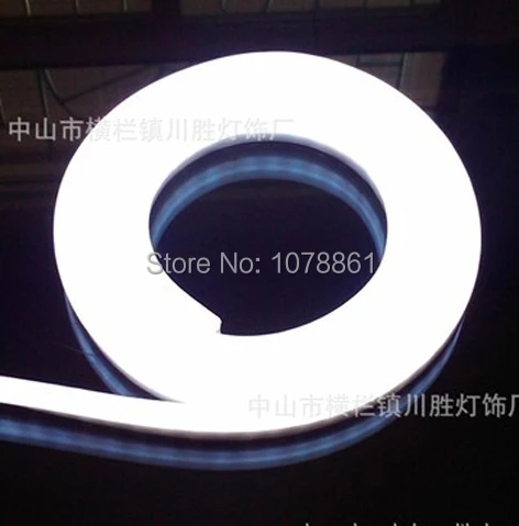 Бесплатная доставка светодиодная неоновая веревка 2 провода 220 в 240 В 110 120 гибкая