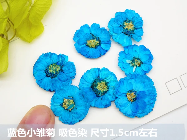 120 шт. Бесплатная доставка прессованный цветок высушенный натуральные цветы DIY