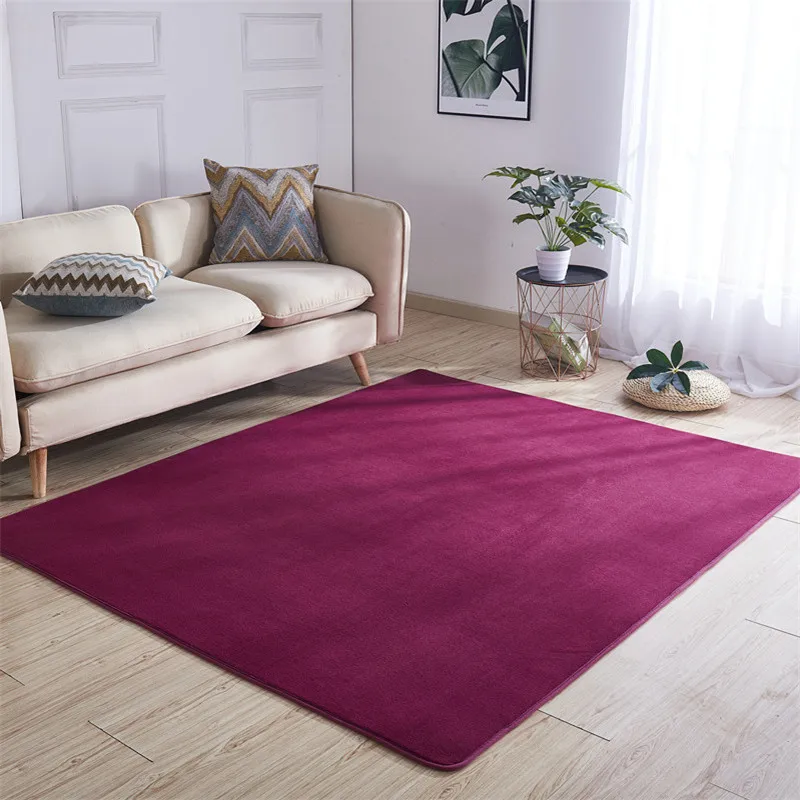 Новинка 2019 утолщенный коралловый бархатный простой ковер нескользящий коврик
