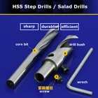 Сверло для салата из быстрорежущей стали, 10 мм, SHK A, сверла для работы по дереву