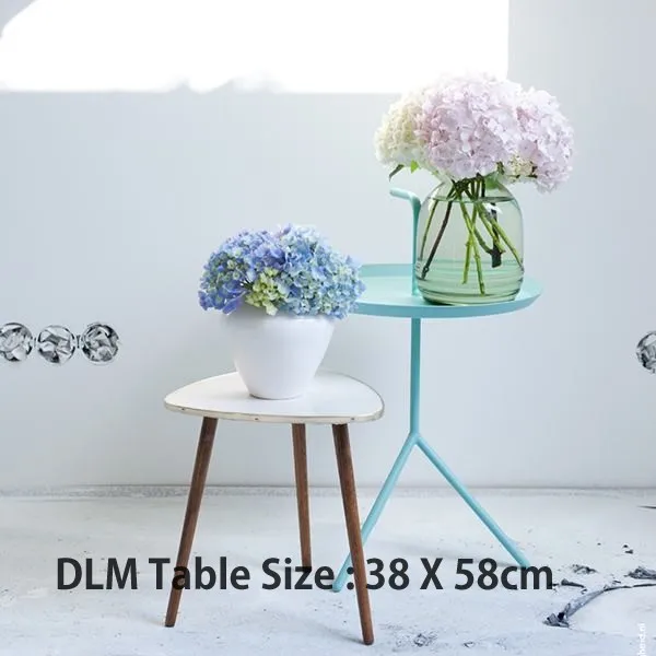 TL093 современный DLM стол от Thomas Bentz D38 Dont Leave Me журнальный столик - Цвет: 38x58 blue