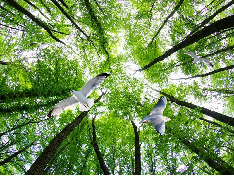 Настенная 3d наклейка на заказ синее небо и белые облака треугольные деревья