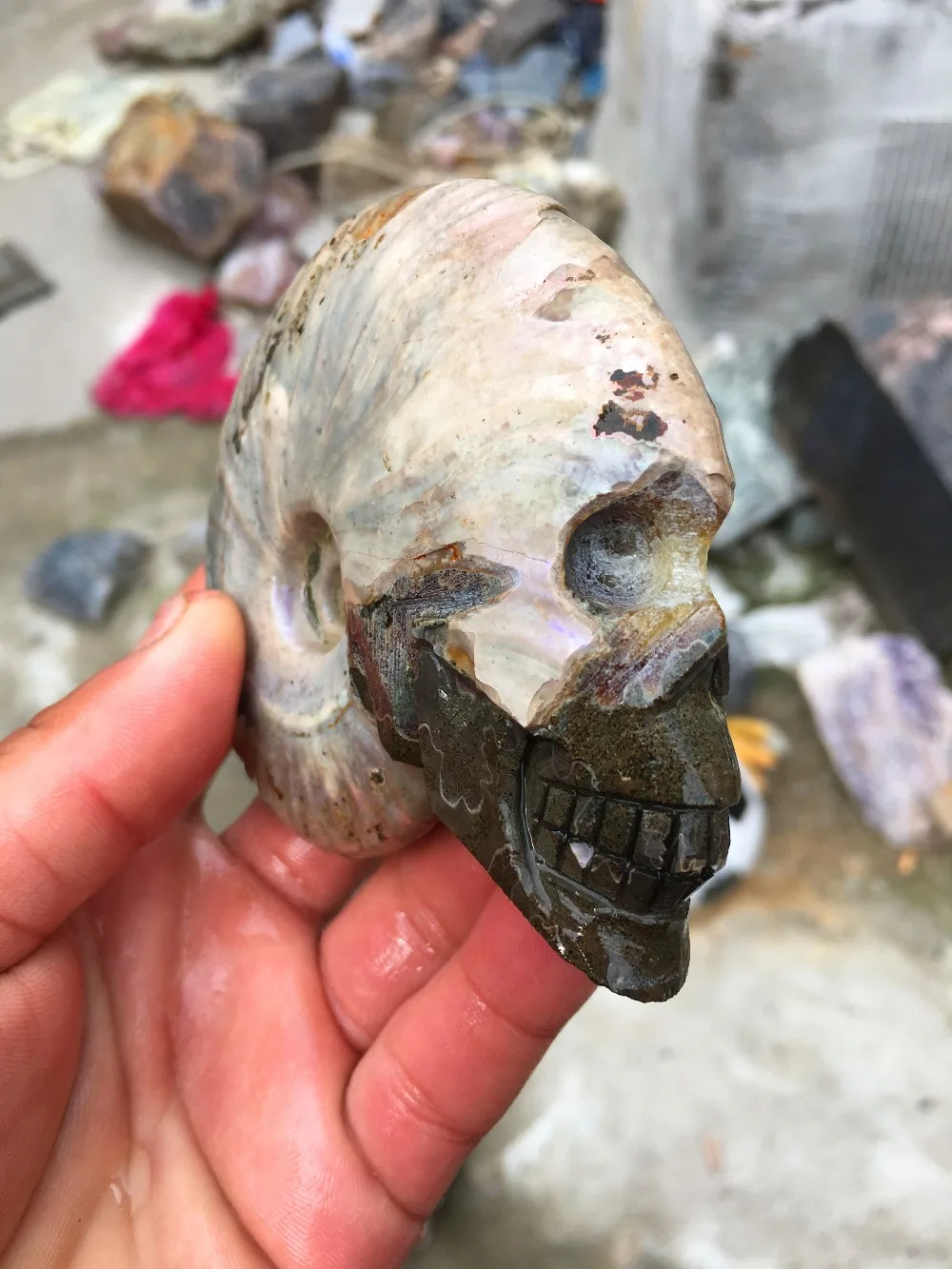 132 г-150 г черепной раковины природного минерального на территории страны. Прямая